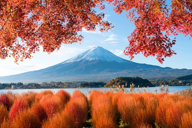 Mount Fuji Private Trip From Tokyo by Car/Van - in English - Tour Itinerary