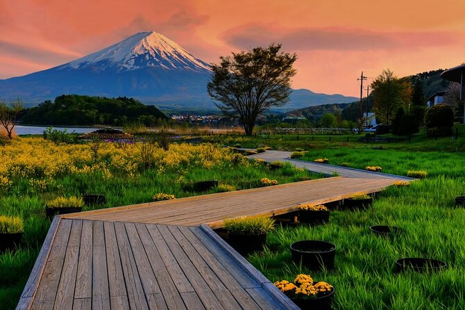 Mt. Fuji Five Lakes Area Private Tour With Licensed Guide(Kawaguchiko Area Dep) - Stunning Views of Mt. Fuji