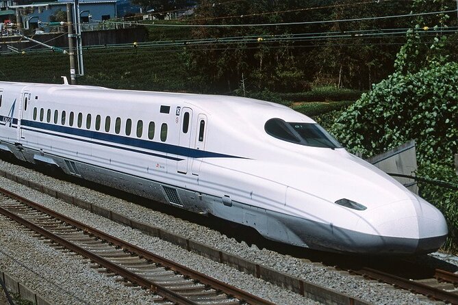 Mt. Fuji & Hakone Bullet Train 1 Day Tour From Tokyo Station Area - Dietary Accommodations