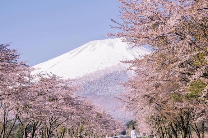 Mt Fuji Sightseeing Private Tour With English-Speaking Driver - Accessibility and Transportation
