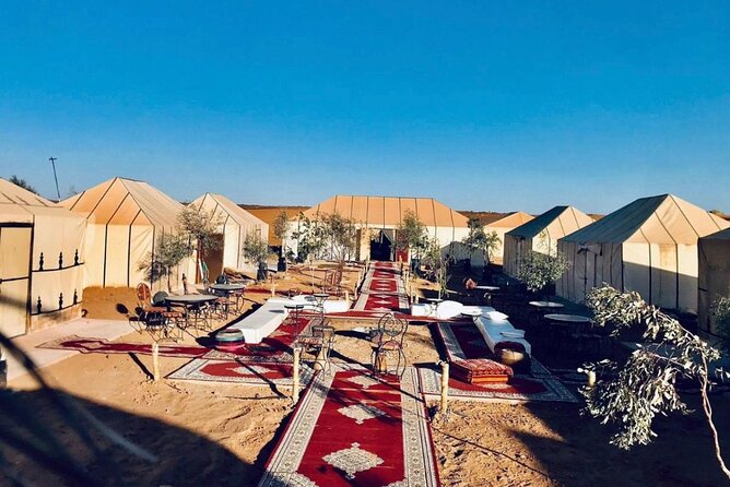 Overnight Stay in Desert Camp & Camel Trekking in the Sahara - Participation Details