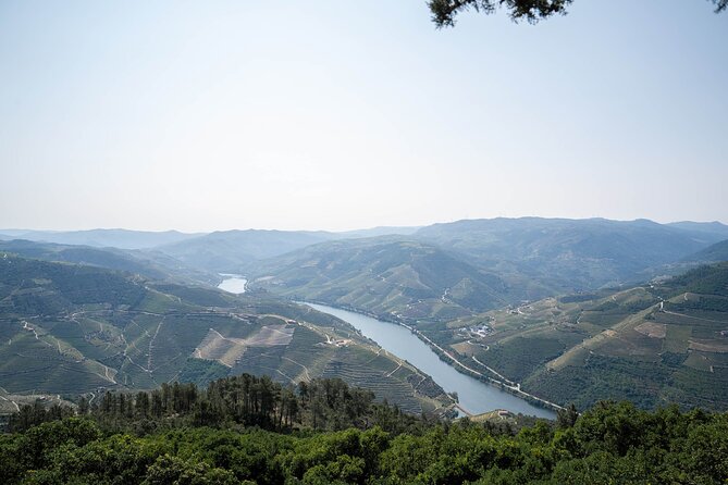 Premium Small Group Douro Valley Wine Tour With Lunch and Cruise - Shared Experiences