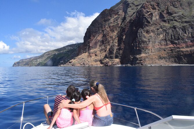 Private Dolphin and Whale Watching Tour in Madeira - Sightings of Marine Life
