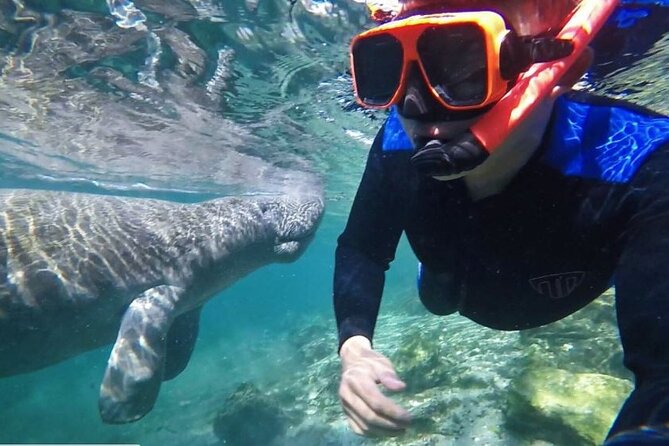 Private Manatee Tour for up to 10 - Additional Fees and Charges