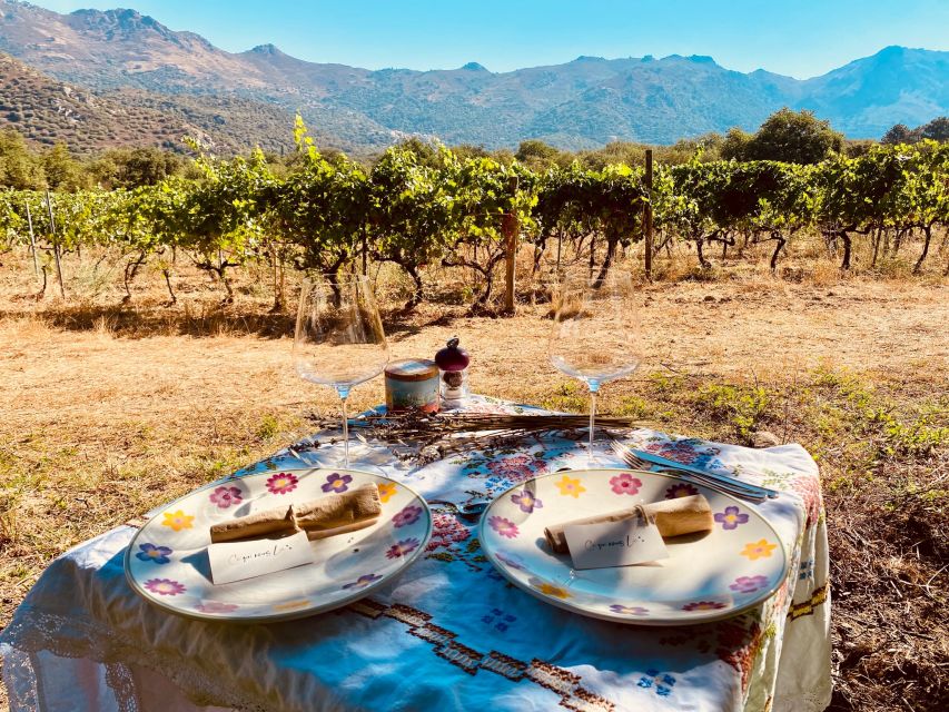 Private Wine Tastings Around Vineyards - Enjoy a Picnic in the Vines
