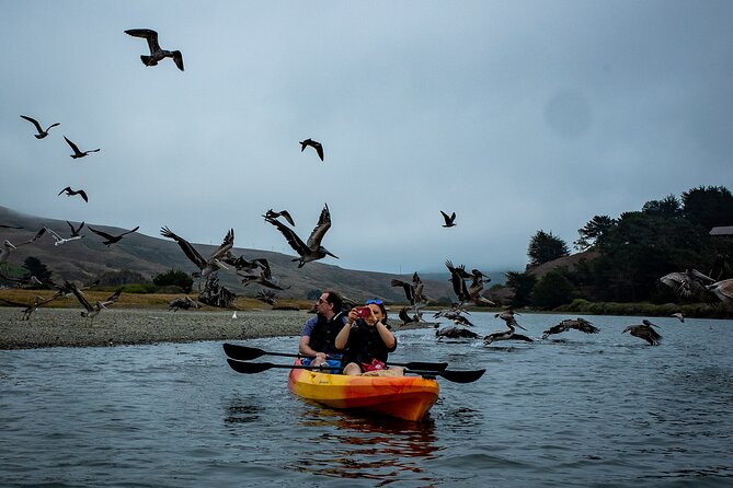 Russian River Kayak Tour at the Beautiful Sonoma Coast - Meeting Point and Arrival