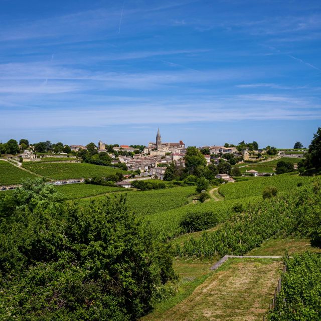 Saint Emilion Half Day Ebike and Wine Tour With Picnic - Picnic Dinner