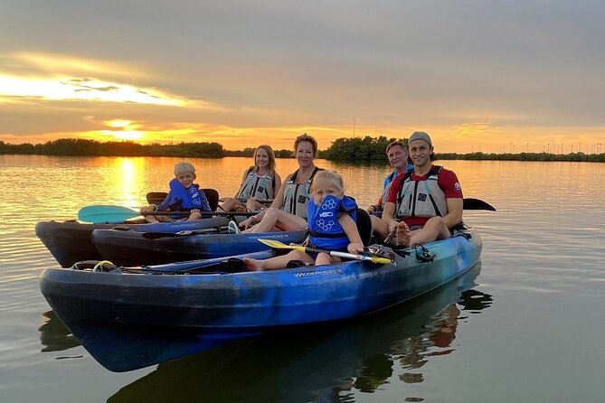 Thousand Islands Mangrove Tunnel & Bio Comb Jelly Sunset Tour - Sightings of Dolphins and Manatees