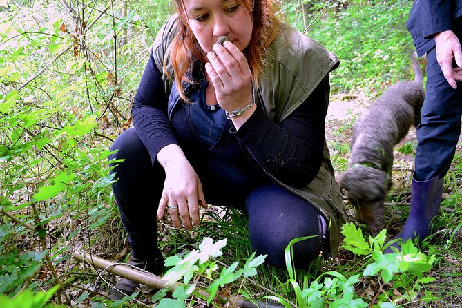 Truffle Hunting Experience With Lunch in San Miniato - Booking and Confirmation