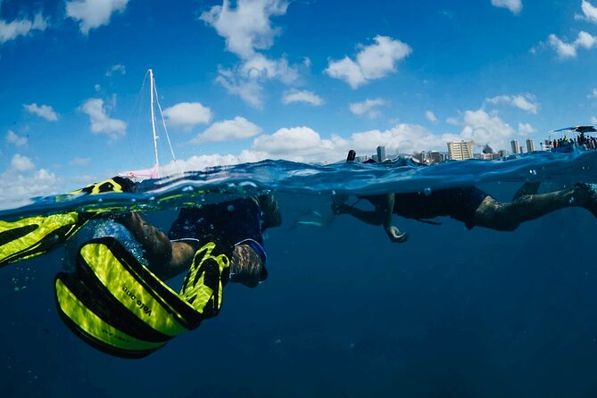 Waikiki Snorkel Tour - Booking and Cancellation Policy