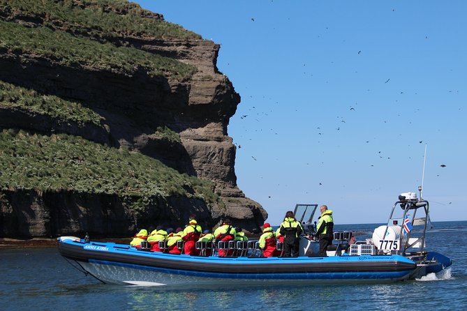 Whale Safari and Puffins RIB Boat Tour From Húsavík - Cancellation Policy and Alternatives