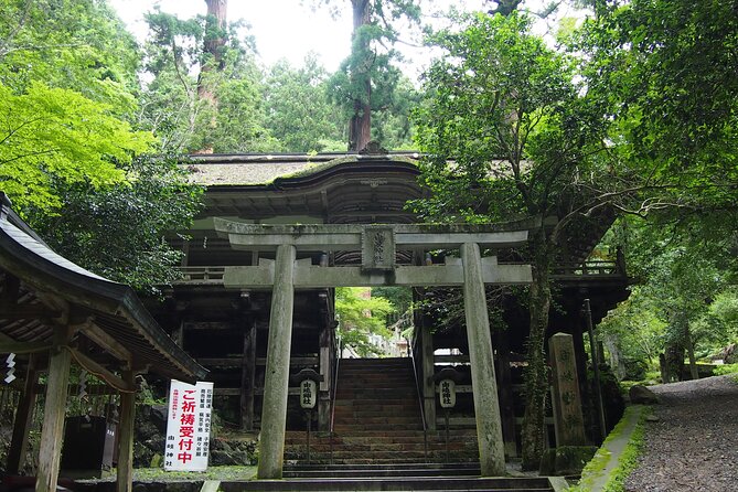 1 Day Hiking Tour in the Mountains of Kyoto - Local History and Folklore