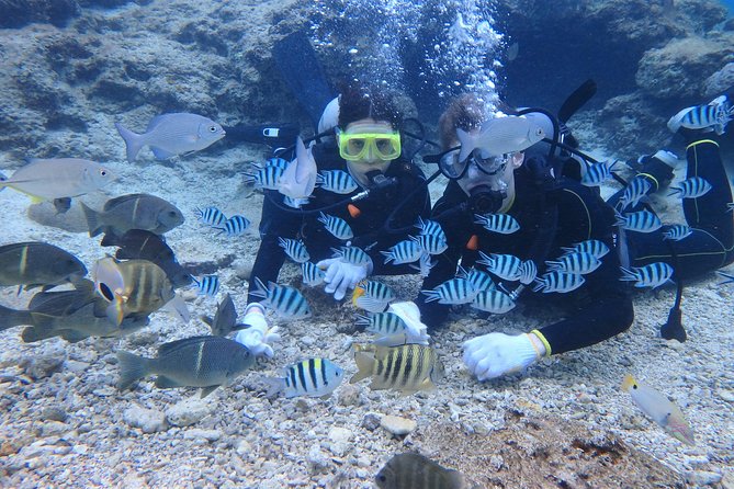 Blue Cave Experience Diving! [Okinawa Prefecture] Feeding & Photo Image Free! English, Chinese Guide Available! 1 Group With a Dedicated Instructor - Private Tour With Instructor