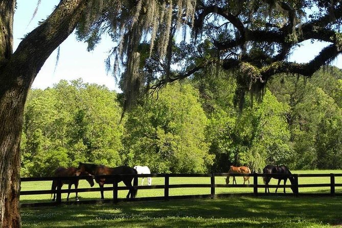 Boone Hall Plantation All-Access Admission Ticket - Accessibility Information