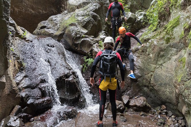 Canyoning With Waterfalls in the Rainforest - Small Groups ツ - Equipment Provided
