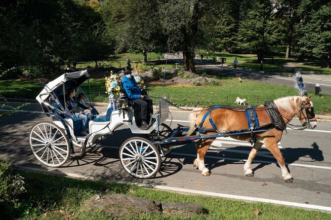 Central Park and NYC Horse Carriage Ride OFFICIAL ( ELITE Private) Since 1970™ - Inclusions and Exclusions