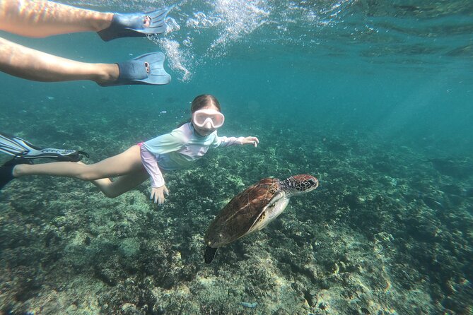 Cruises to Daymaniyat & Snorkeling - Recommended Physical Fitness Level