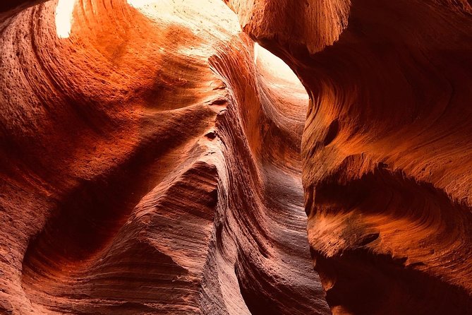 East Zion Ultimate Slot Canyon Canyoneering UTV Adventure - Small-Group and Personalized Tour