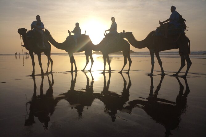 Essaouira Private Camel Ride (1 Hour). - Reviews and Ratings