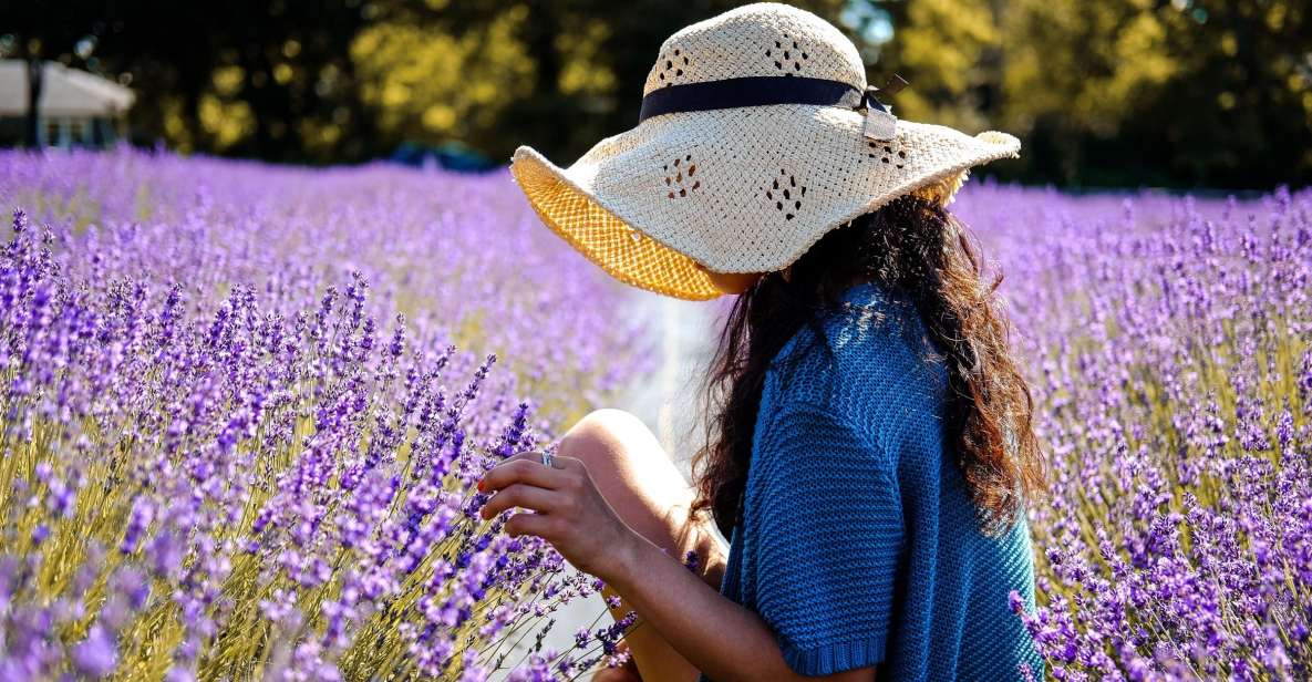 From Avignon: Lavender Fields & Luberon Village Guided Tour - Roussillon and Ochre Trail