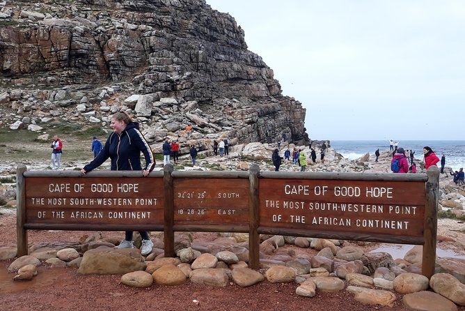 Full Day Cape Peninsula Tour in Private Car - Reviews and Ratings