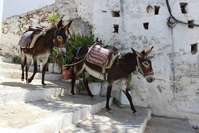 Full-Day СOmprehensive Tour of Rhodes Including Wine Tasting - Itinerary Adaptability