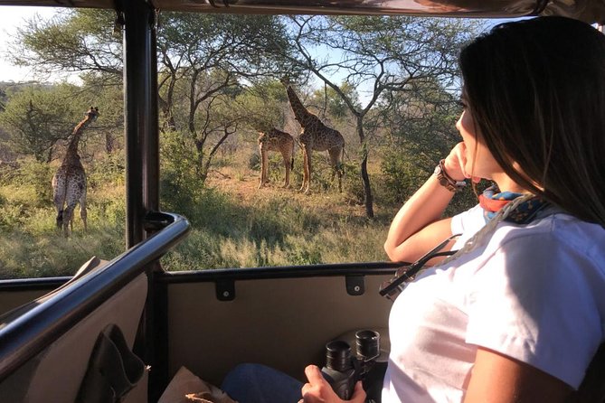 Full Day Kruger Safari Tour - Safari Experiences and Opportunities