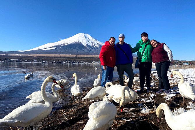 Full Day Tour to Mount Fuji in English - Transportation and Accessibility