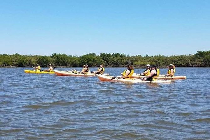 Guided Wildlife Eco Kayak Tour in New Smyrna Beach - Group Size Limit