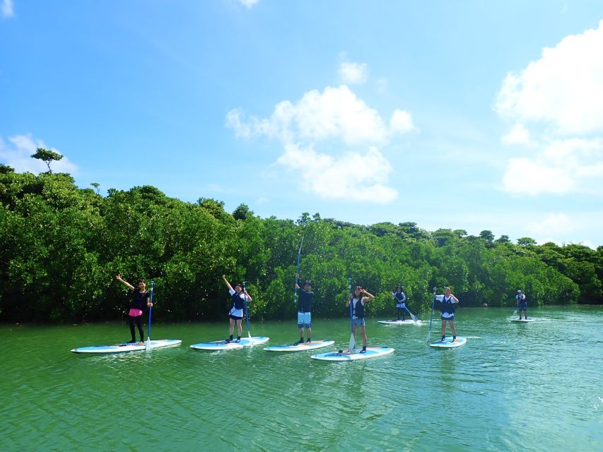 Ishigaki Island: SUP/Kayaking and Snorkeling at Blue Cave - Included Equipment and Amenities