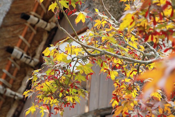 Kanazawa → Takayama (one-way) Including Shirakawago (Private Tour) - From Kanazawa to Takayama