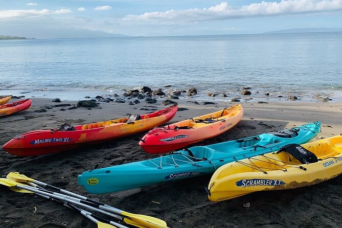 Kayak and Snorkel: Maui West Shore - Weather Considerations