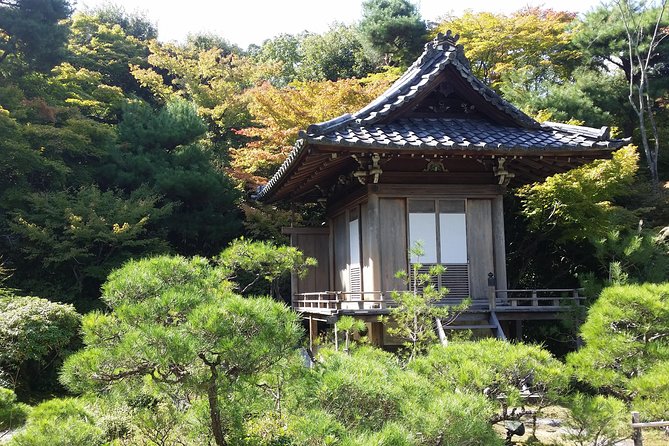 Kyoto : Immersive Arashiyama and Fushimi Inari by Private Vehicle - Meeting Point and Pickup Locations
