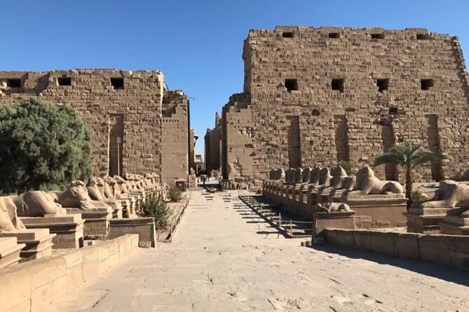 Luxor Private Excursion From Hurghada Makadi Bay Soma Bay Sahl Hasheesh Elgouna - Expert Tour Guide