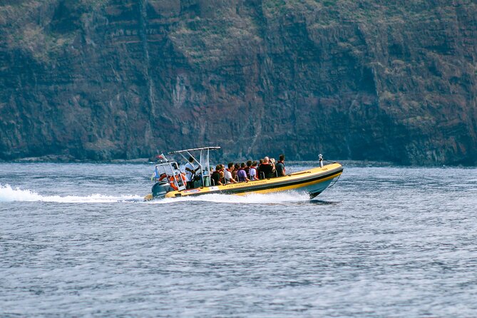 Madeira Dolphin & Whale Watching Tour - Meeting and Pickup