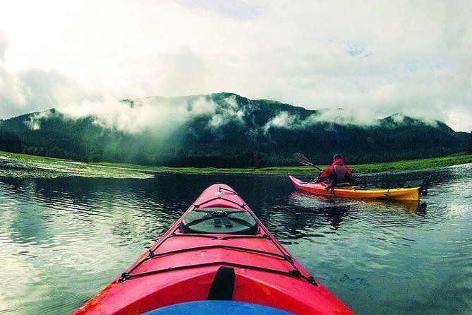 Mendenhall Glacier View Sea Kayaking - Exclusions and Restrictions