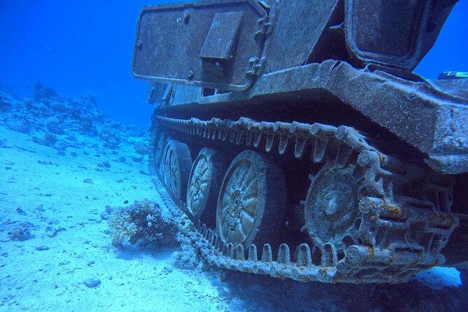 Military Museum Diving Experience in the Red Sea - What to Expect Underwater