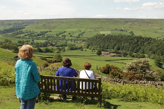 Moors, Whitby & the Yorkshire Steam Railway Day Trip From York - North York Moors Railway