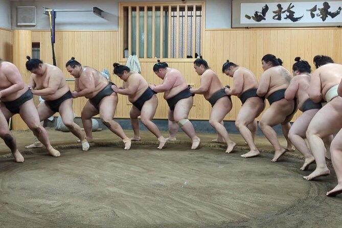 Morning Sumo Practice Viewing in Tokyo - Guiding and Information Package
