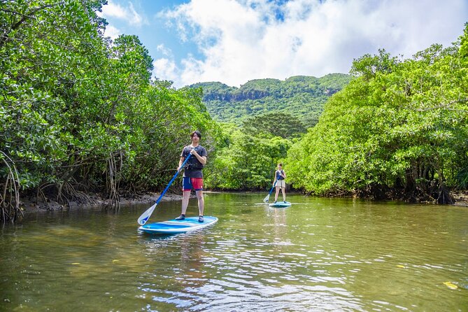 Okinawa Iriomote SUP/Canoe Tour in a World Heritage Site - Cancellation Policy