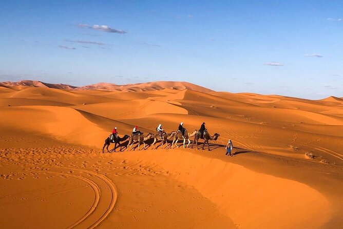Overnight Stay in Desert Camp & Camel Trekking in the Sahara - Camel Trekking to the Desert Camp