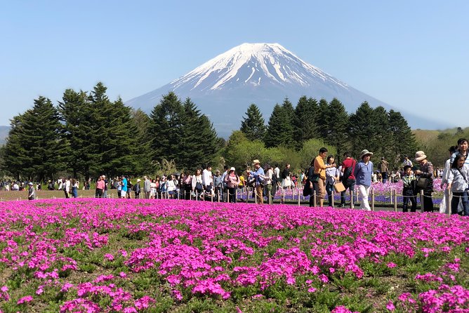 Private Fuji Exploration With Photography ENGLISH SPEAKING - Muslim Travelers Needs