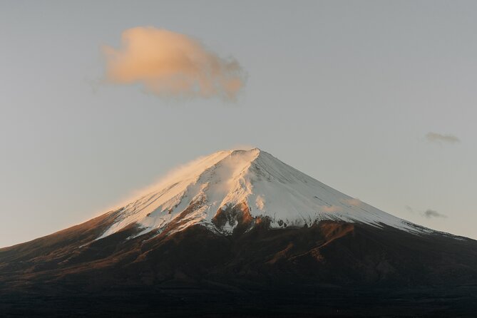 Private Mt Fuji, Hakone and Tokyo Tour-English Speaking Chauffeur - Inclusions