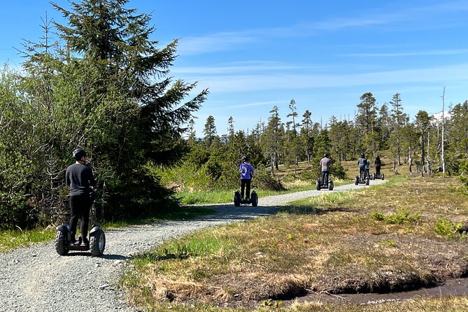 Segway Alaska - Alpine Wilderness Trail Ride - Physical Fitness Requirements
