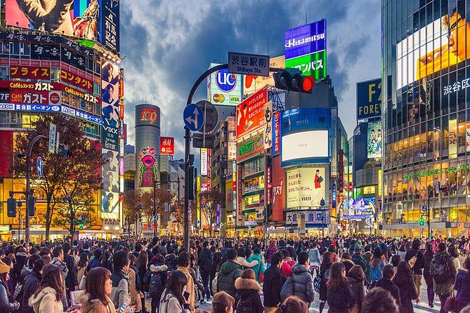 Shibuya All You Can Eat Food Tour Best Experience in Tokyo - Logistics and Accessibility