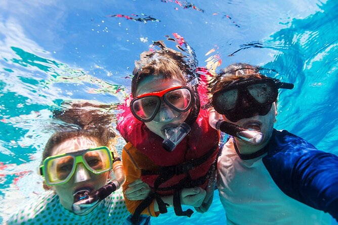 Snorkeling Trips to Daymaniat Islands Sharing Trip - Marine Life Sightings