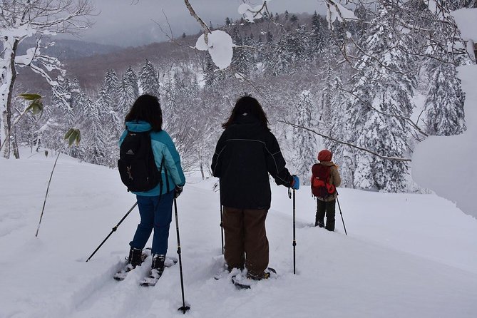 Snowshoe Hike Tour From Sapporo - Cancellation Policy