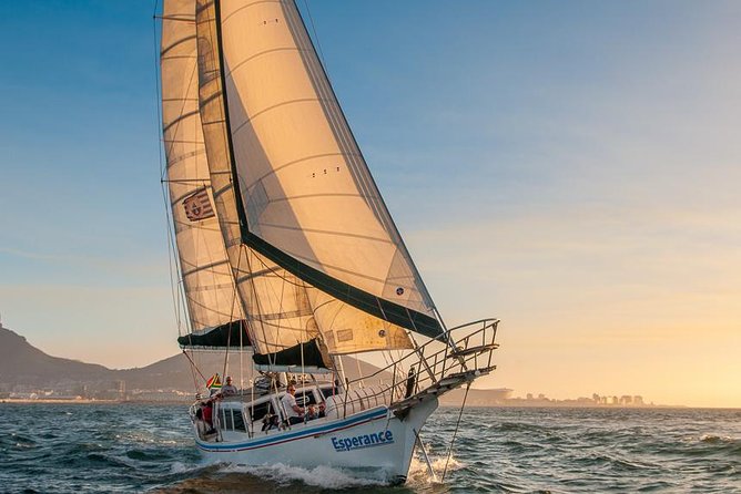 Sunset Champagne Cruise From Cape Town - Sparkling Wine Experience