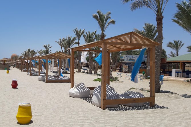 Turtles Bay, Swimming With Turtles Hurghada & Marsa ALAM - Schedule and Availability