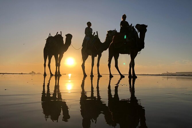 3-Hour Camel Ride at Sunset - Private Tour and Group Size